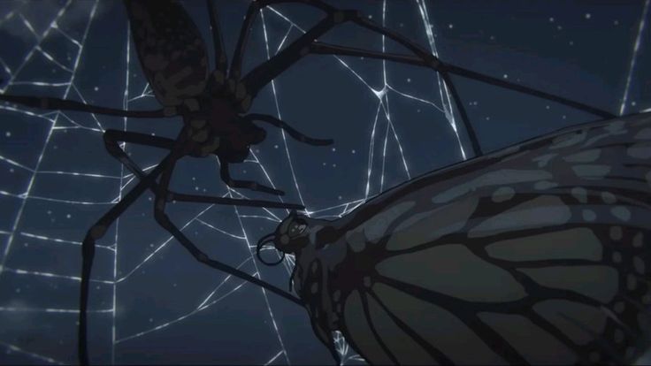 Caught in the&nbsp;Web